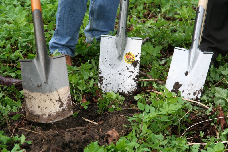 pepiniere-PLAN D AUPS STE BAUME-min_work-lawn-flower-tool-green-backyard-1103633-pxhere.com